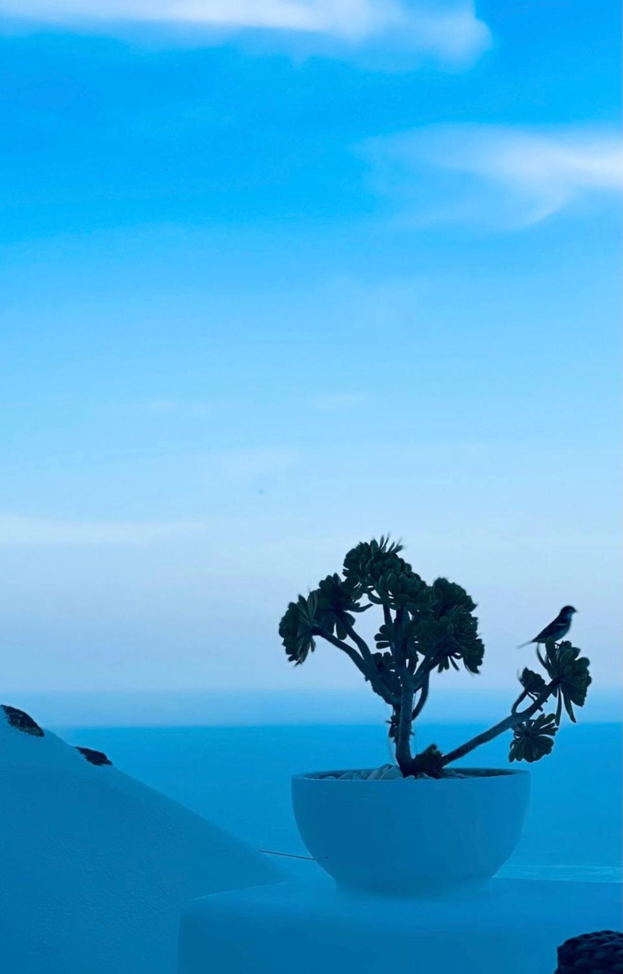 Villa Kastelli88 Santorini Pyrgos Εξωτερικό φωτογραφία
